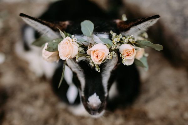 Ana & the cutest baby goat