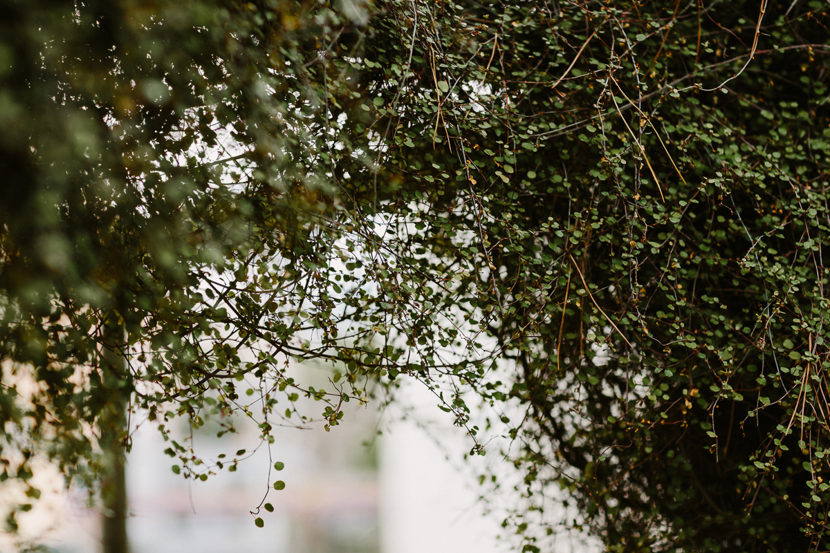 ravello-wedding-photographer_069