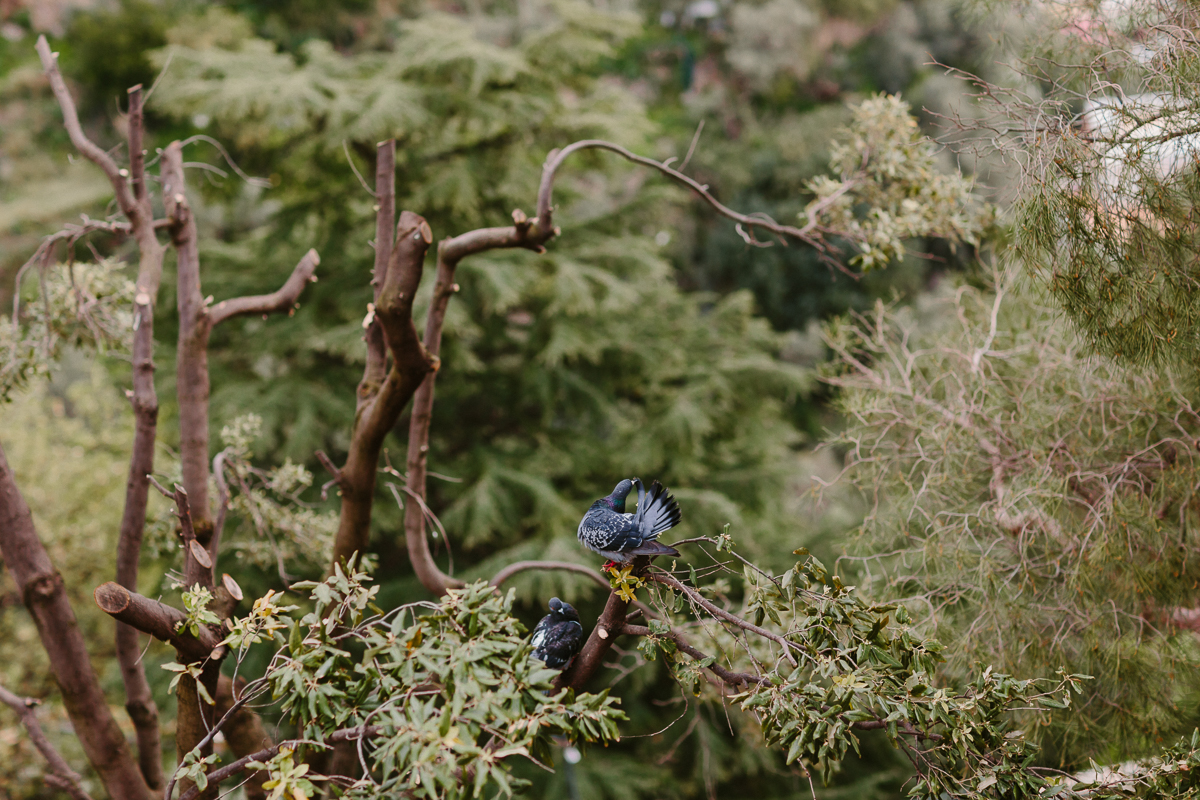 sorrento-wedding-photographer_011